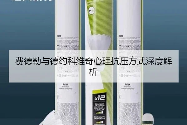 费德勒与德约科维奇心理抗压方式深度解析
